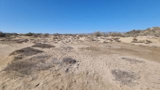2023-GC--Mapalomas dunas-S123-147.jpg